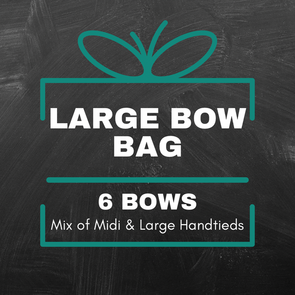 Large Bow Bag