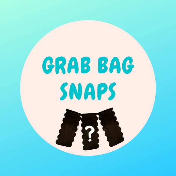 Snap Clip Grab Bag