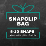 SnapClip Bag